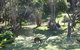 Waiheke Island Guesthouse - thumb 9