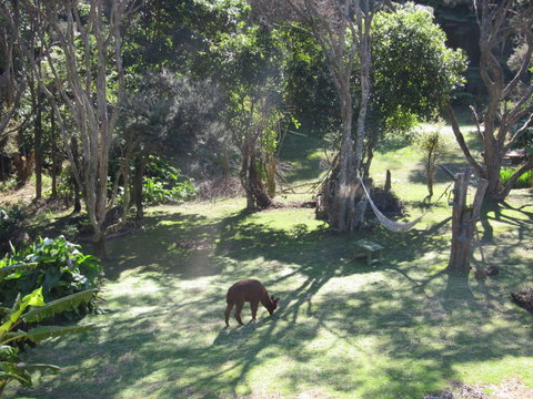 Waiheke Island Guesthouse - Accommodation New Zealand 9