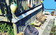 Waiheke Island Guesthouse - thumb 10