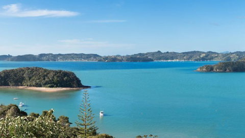 Moon Shadow Luxury B&B - Accommodation New Zealand 11