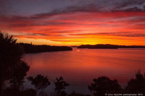 Nook Paradise Accommodation - Accommodation New Zealand 4