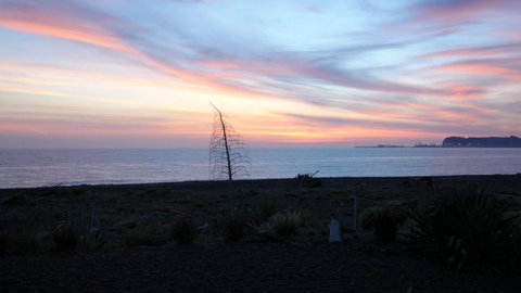 Absolute Beach Front B&B - Accommodation New Zealand 2