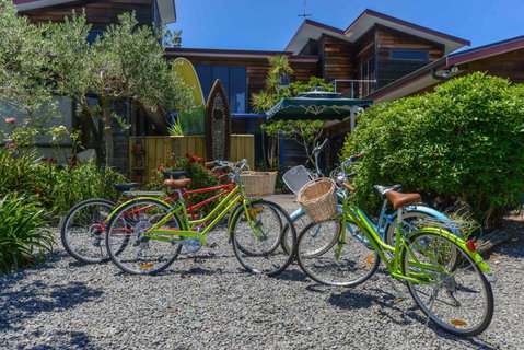Absolute Beach Front B&B - Accommodation New Zealand 12
