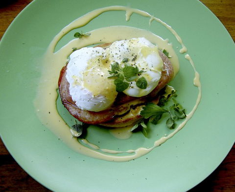 The Great Ponsonby Arthotel - Accommodation New Zealand 4