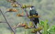 Petite Provence - thumb 9
