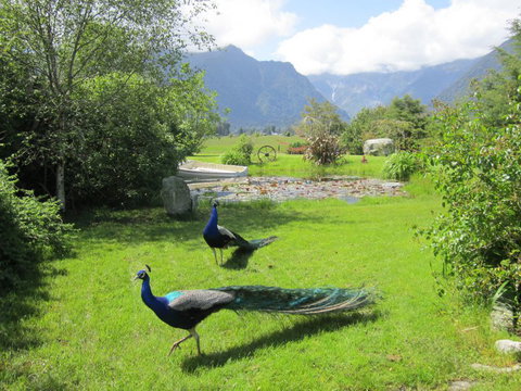 Clearwater Bed And Breakfast - Accommodation New Zealand 8