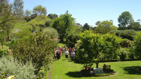 Fothergills On Mimiha - Accommodation New Zealand 3