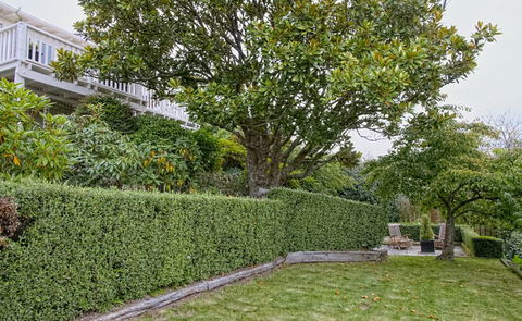 Magnolia Cottage Sanctuary - Accommodation New Zealand 5