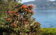 Captain Eady's Lookout - thumb 4