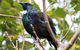 Stewart Island Lodge - thumb 5