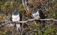 Stewart Island Lodge - thumb 6