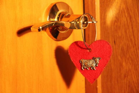 Chalet Romantica - Accommodation New Zealand 11