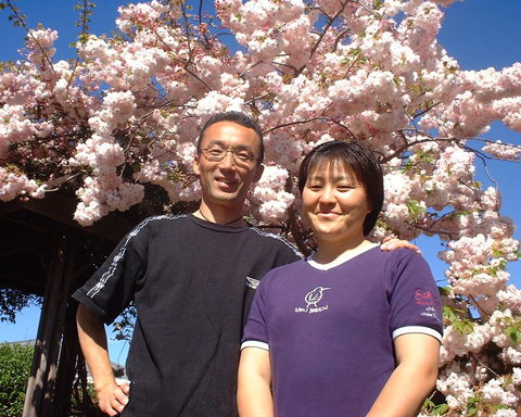 Sakura Bed And Breakfast - Accommodation New Zealand 1