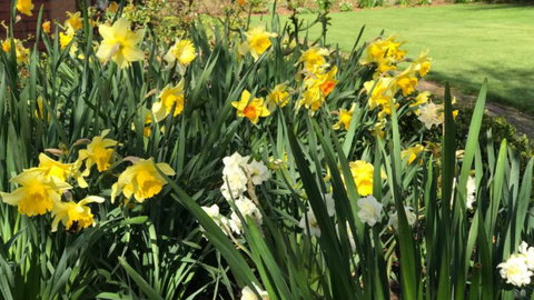 The Waitaki B&B - Accommodation New Zealand 2