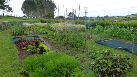 A Bountiful Life - Accommodation New Zealand 7