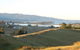 Tasman Farmstay Retreat - thumb 1