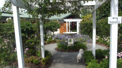 Aroha B&B