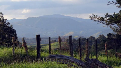 Center Of The Umaverse - Accommodation New Zealand 4