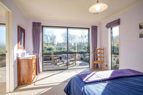 Uliveto Countrystay & Olive Grove - Accommodation New Zealand 0
