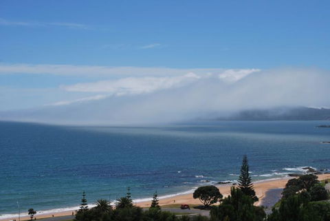 Carneval Ocean View - Accommodation New Zealand 10