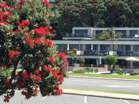Beachpoint Apartments - Accommodation New Zealand 7