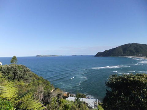 Coastal Heights Apartment And B&B - Accommodation New Zealand 4