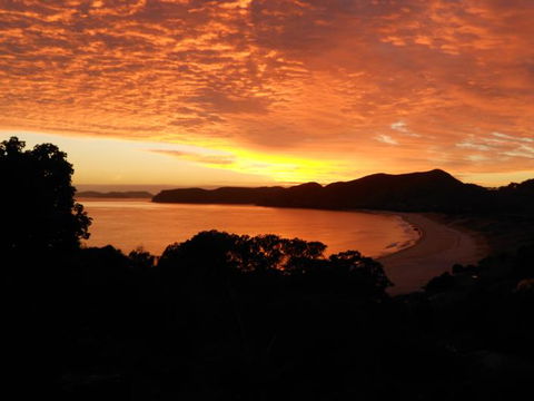 Otama Beach Hideaway - Accommodation New Zealand 2