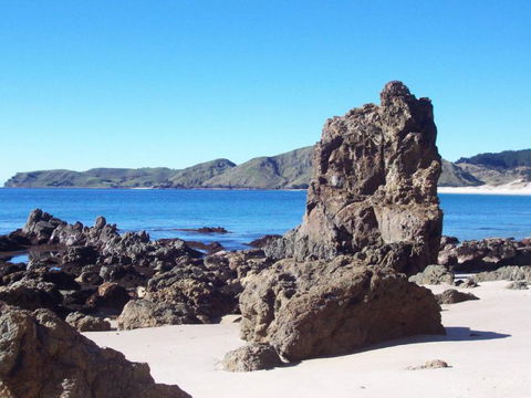 Otama Beach Hideaway - Accommodation New Zealand 7