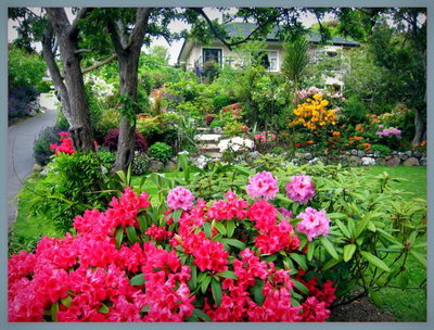 McAuley Glen Boutique Bed & Breakfast Homestay