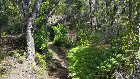 Kaeppeli's Bed & Breakfast - Accommodation New Zealand 1