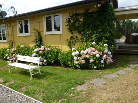 B&B Blossom Cottage - Accommodation New Zealand 6