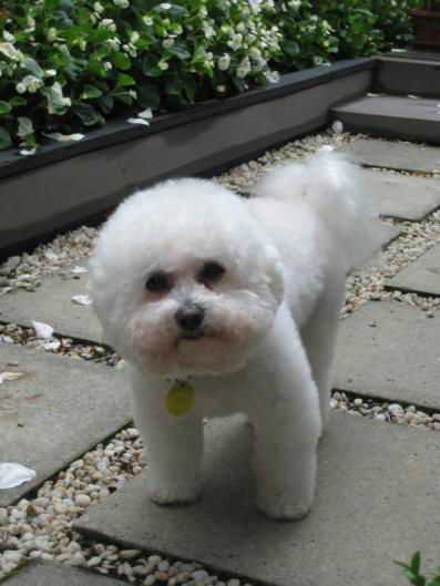 Finlay Banks Boutique Bed & Breakfast - Accommodation New Zealand 3