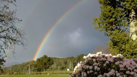 Serendipity Homestay - Accommodation New Zealand 7