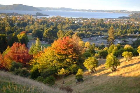 Serendipity Homestay - Accommodation New Zealand 8