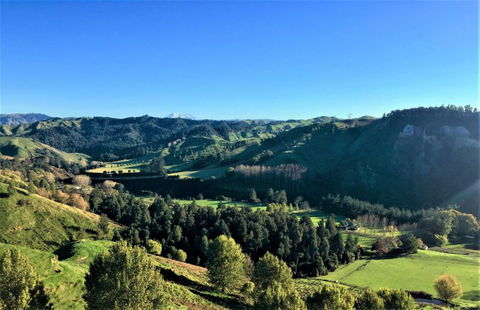 Mt Huia Farmstay - Homestead B&B - Accommodation New Zealand 10