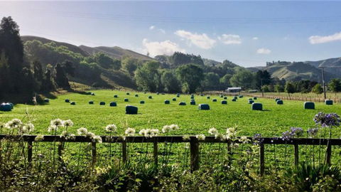 Mt Huia Farmstay - Homestead B&B - Accommodation New Zealand 11