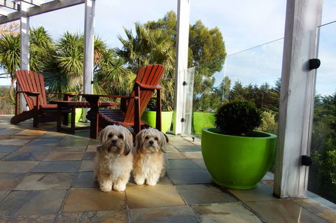 Pacific View Homestays - Accommodation New Zealand 8