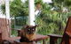 Pacific View Homestays - thumb 9