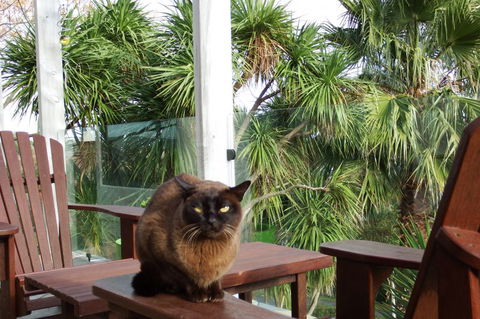 Pacific View Homestays - Accommodation New Zealand 9