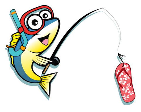 The Fish And Jandal - Accommodation New Zealand 11