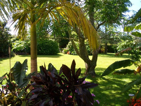 88 Lodge Bed & Breakfast  - Accommodation New Zealand 8