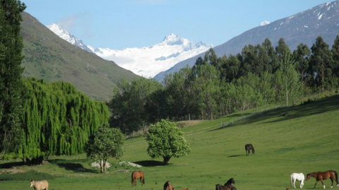 Avalanche B & B - Accommodation New Zealand 2