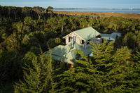 Bushy Point Fernbirds BB