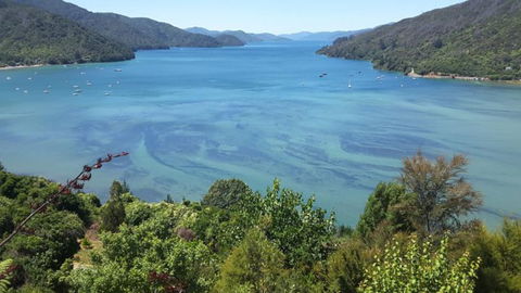 Okiwa Bay Lodge - Accommodation New Zealand 3