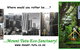 Mount Tutu Eco-Sanctuary - thumb 1