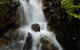 Mount Tutu Eco-Sanctuary - thumb 2