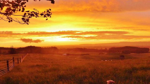 Mount Tutu Eco-Sanctuary - Accommodation New Zealand 5