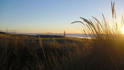 Parituhu Beachstay - Accommodation New Zealand 1