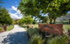 Alpine View Lodge - thumb 0