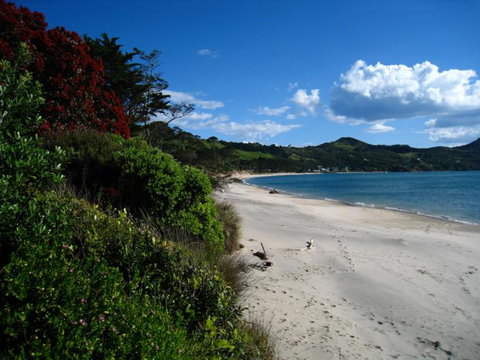 Hokianga Haven B & B - Accommodation New Zealand 6